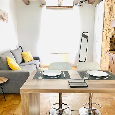 Cocooning Quartier Vieux-mans Apartment